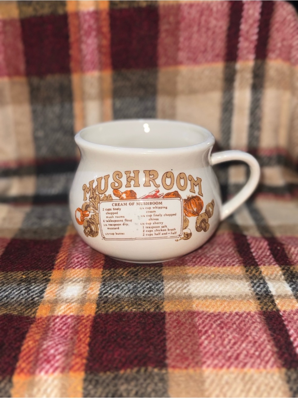 1970s Mushroom Recipe Mug – Cream of Mushroom Soup Ceramic Kitchenware